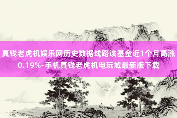 真钱老虎机娱乐网历史数据线路该基金近1个月高涨0.19%-手机真钱老虎机电玩城最新版下载