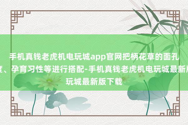 手机真钱老虎机电玩城app官网把柄花草的面孔、高度、孕育习性等进行搭配-手机真钱老虎机电玩城最新版下载