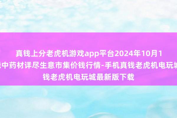 真钱上分老虎机游戏app平台2024年10月18日会川江能中药材详尽生意市集价钱行情-手机真钱老虎机电玩城最新版下载