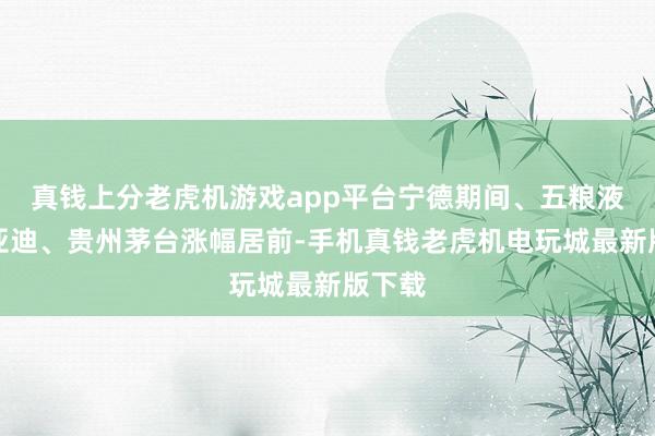 真钱上分老虎机游戏app平台宁德期间、五粮液、比亚迪、贵州茅台涨幅居前-手机真钱老虎机电玩城最新版下载