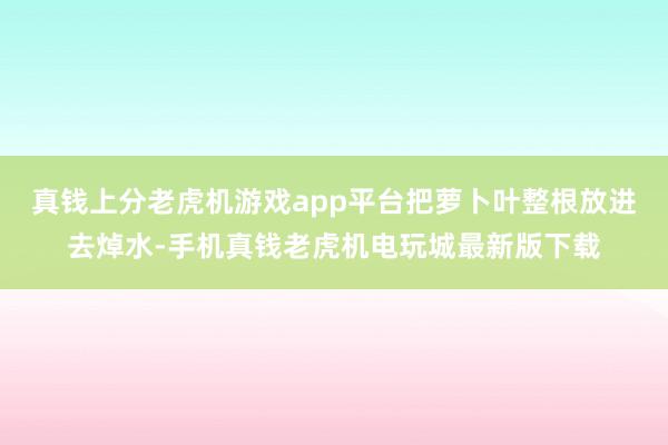 真钱上分老虎机游戏app平台把萝卜叶整根放进去焯水-手机真钱老虎机电玩城最新版下载